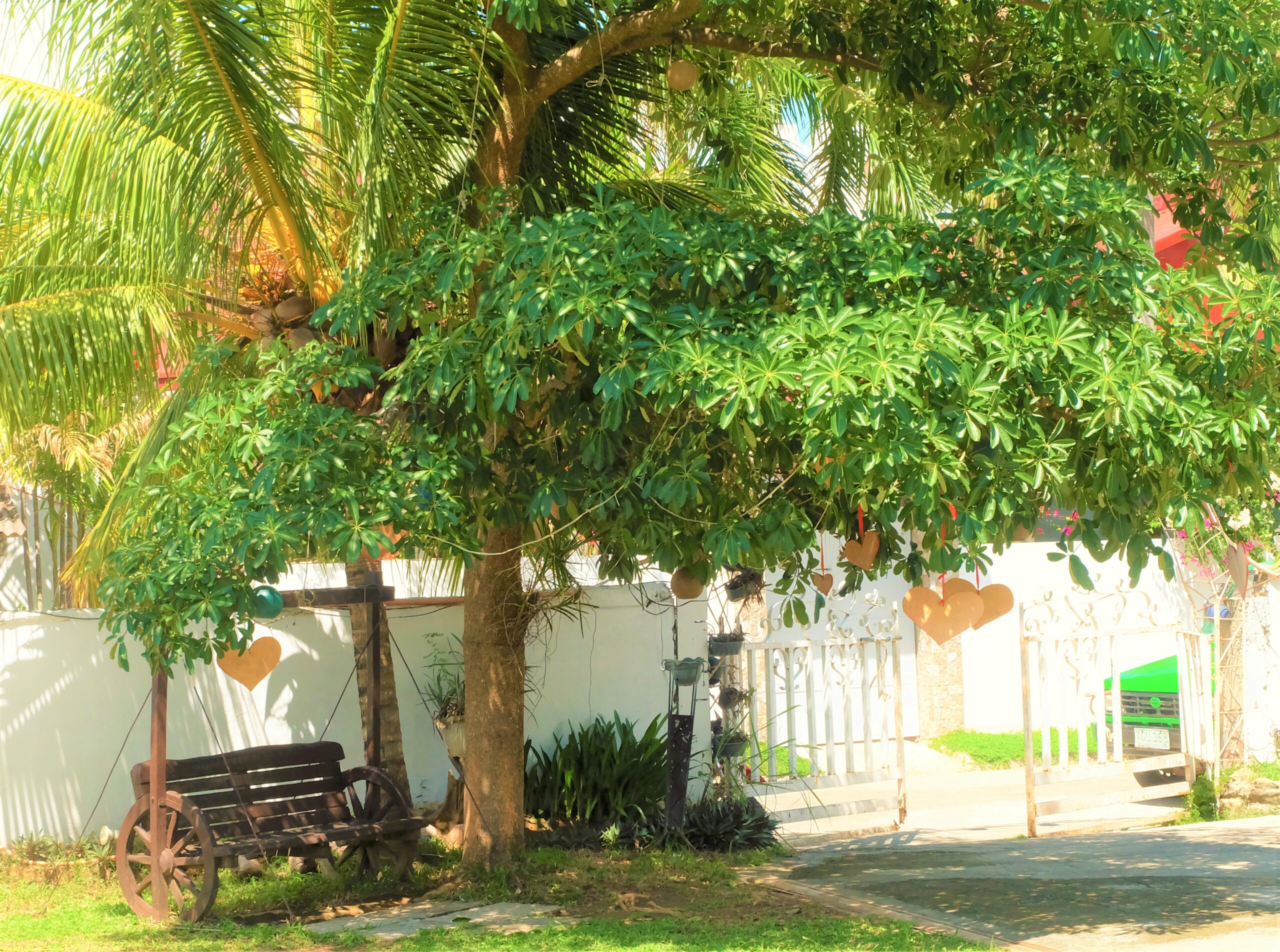 Capturing the Familiar Feeling of Home at PATIO ENRICO