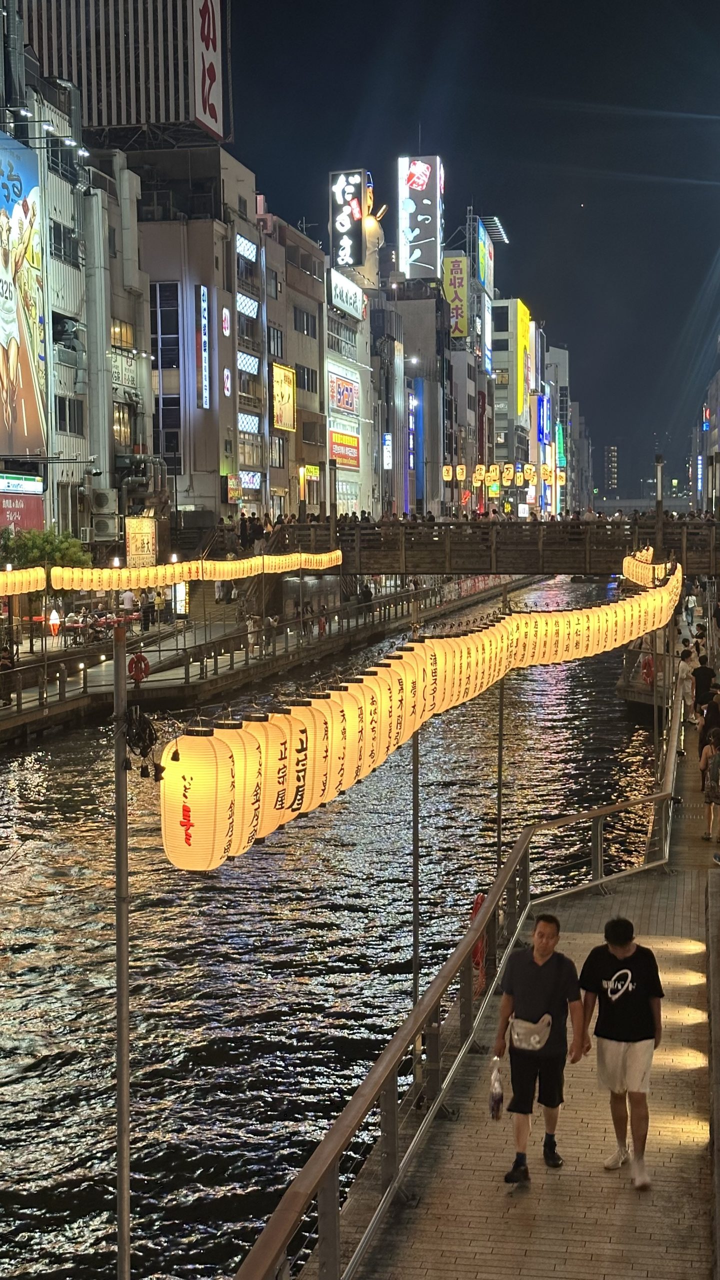 Dotonbori canal at night in my Japan travel diary